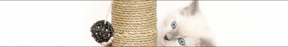 приучаем к когтеточке с игрушкой