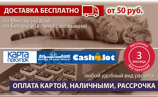 с нашими когтеточками кошки довольны и общительны